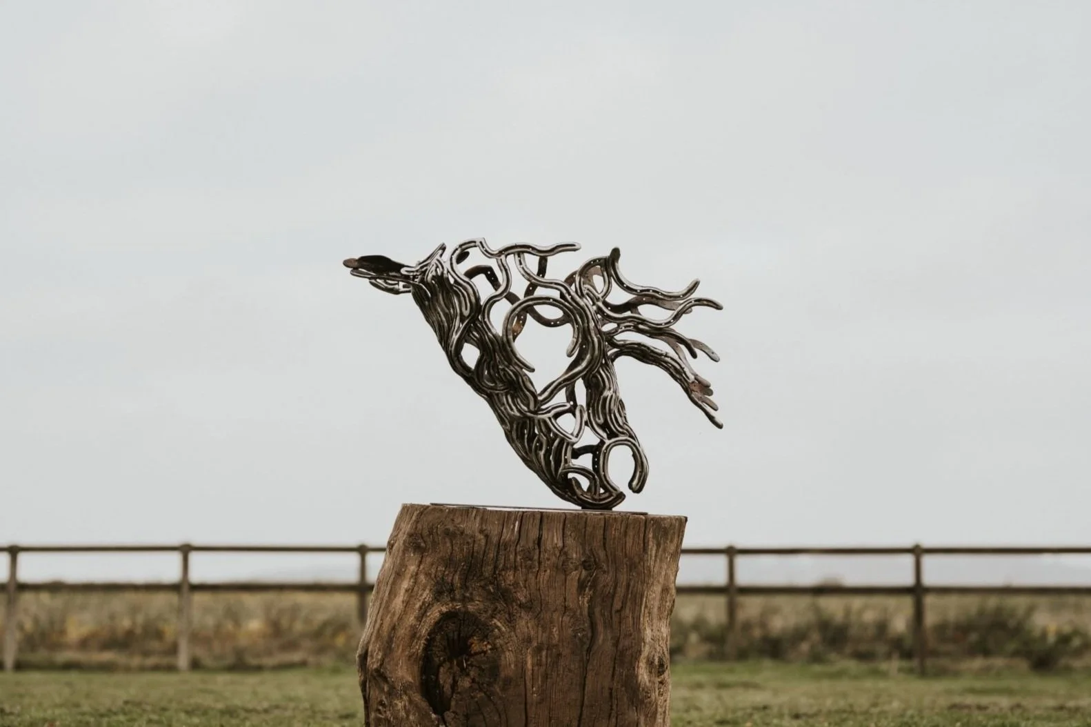 Horse Metal Wall Art For Sale UK — Ollie Holman, Metal Sculpture